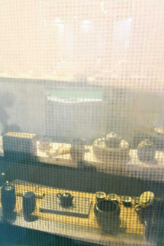 普洱杂志