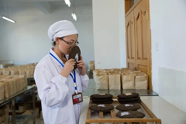 荣获云南省巾帼文明岗称号