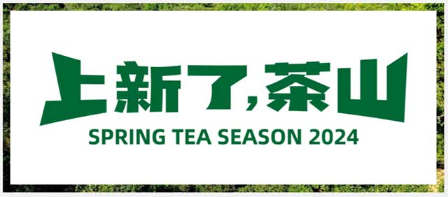 上新了！茶山·第六站|易武老街、百花潭