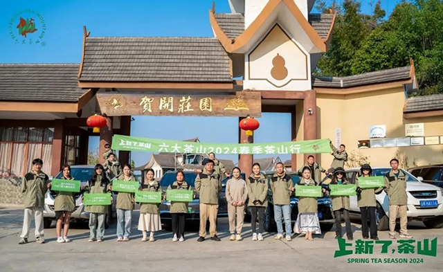 六大茶山2024年茶山日记