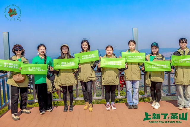 六大茶山2024年茶山日记