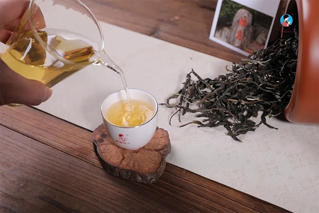 冰岛老寨500年古树春茶茶汤