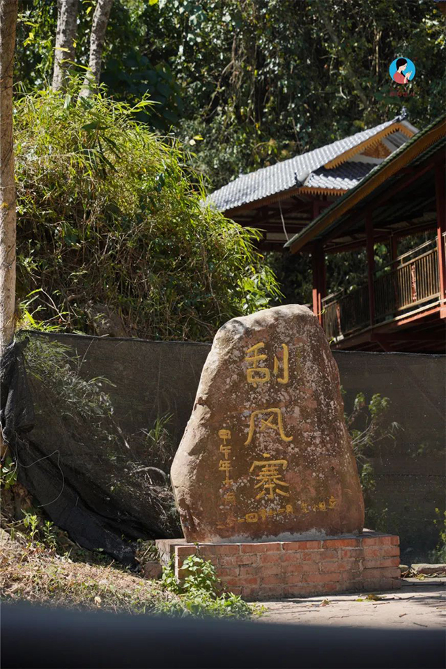 南茗佳人2024年第9季茶山行