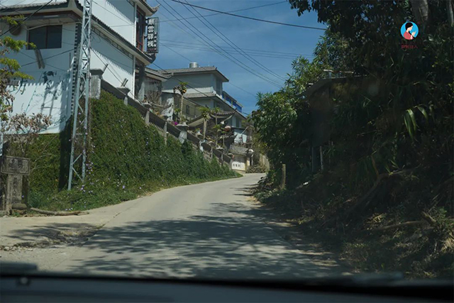 南茗佳人2024年第9季茶山行