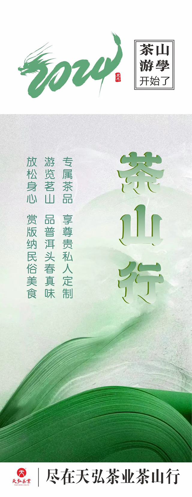 天弘茶业2024年茶山行