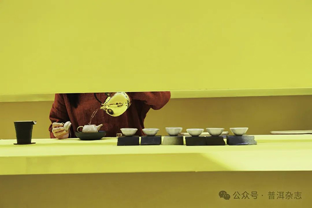 普洱杂志