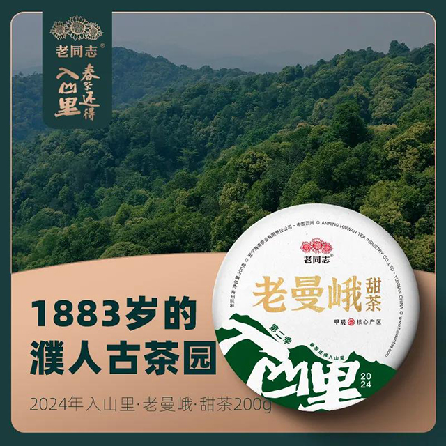 老同志入山里普洱茶