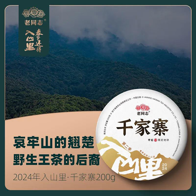 老同志入山里普洱茶