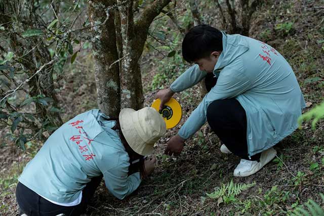 老同志2024入山里第一站千景之谷