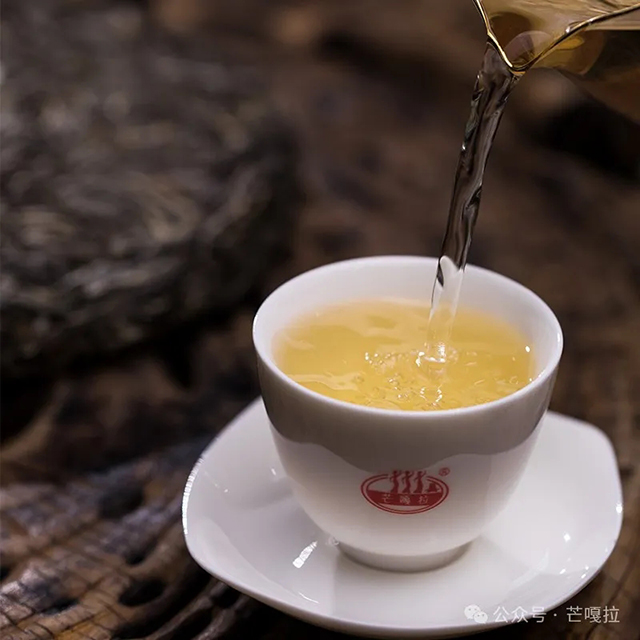芒嘎拉2024一山一味春茶预售开启