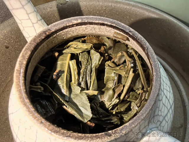 茶者无喧2022年六山集之莽枝有林普洱茶