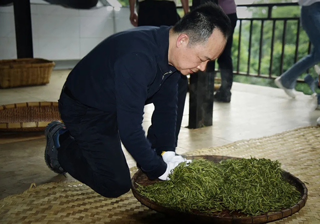 葳盛茶业2024年私人定制茶