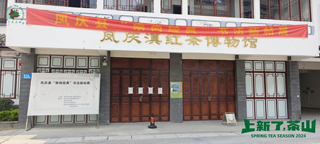 六大茶山2024年茶山日记