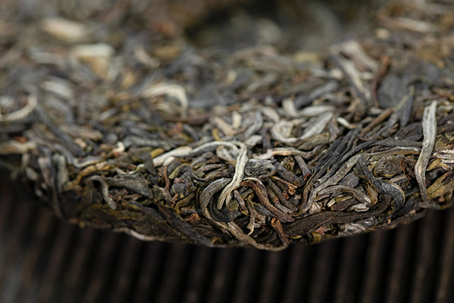 海湾茶业2024年入山里深山探茶