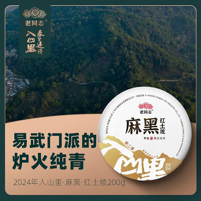 海湾茶业2024年入山里深山探茶