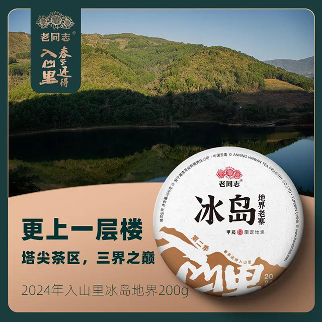 海湾茶业2024年入山里深山探茶