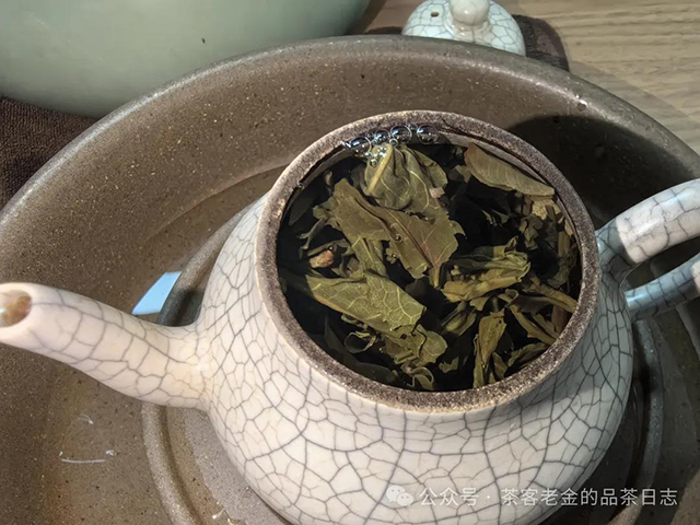 茶者无喧2022年六山集之倚邦有林普洱茶