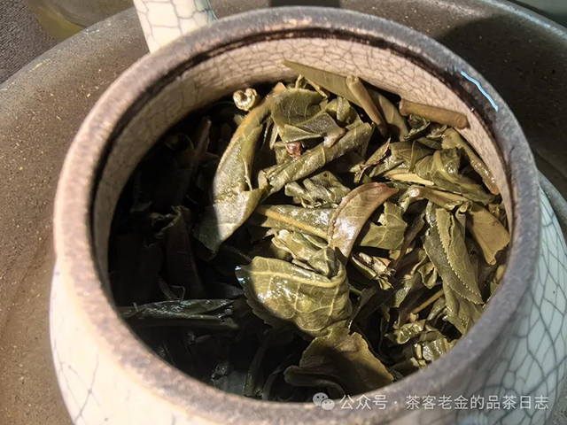 茶者无喧2022年六山集之倚邦有林普洱茶