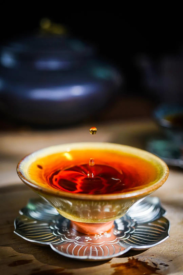 六大茶山诚挚欢迎各位茶友来到贺开庄园亲自体验春茶采摘与普洱茶的制作