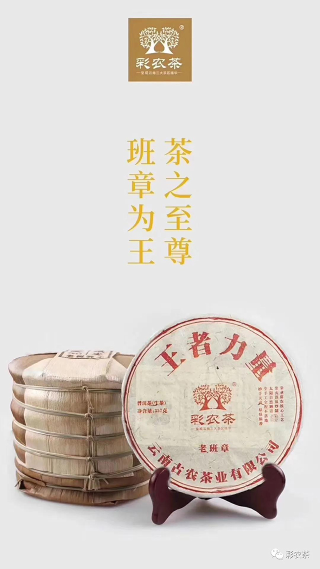 彩农茶老班章第一高杆古茶王片区2024春古树纯料青饼品质特点