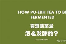 普洱杂志：普洱熟茶是怎么发酵的
