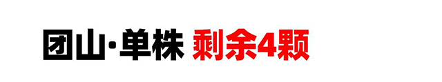 老同志入山里单株预定