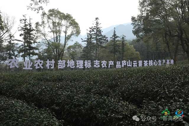 第六届九江国际名茶名泉博览会庐山云雾茶开采节