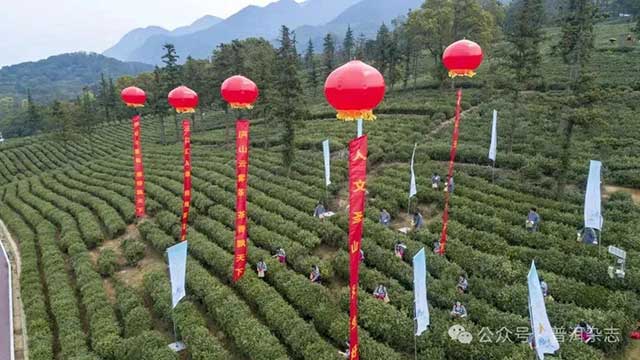 第六届九江国际名茶名泉博览会庐山云雾茶开采节