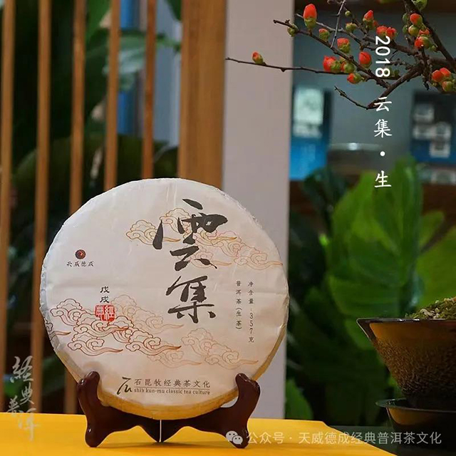 天威德成2024年天下云茶生茶品质特点