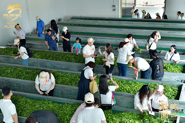 龙园茶业成立25周年庆典暨2024年全国营销工作会议