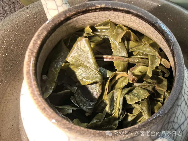 西酉茶泉普洱茶