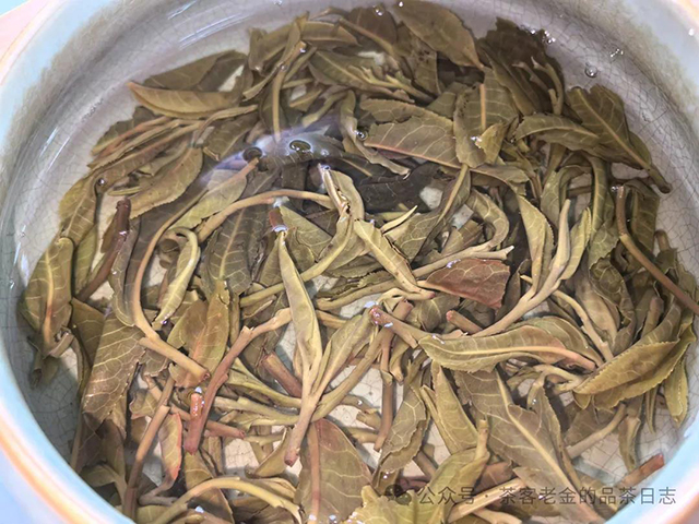 西酉茶天香普洱茶