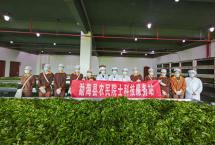 校企合作|云南农大茶学院贺开庄园实习实践之旅圆满结束