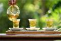 龙园茶业几棵树：尿酸高可以喝茶吗？