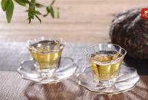 龙园茶业几棵树：普洱茶，一种光阴的美学！