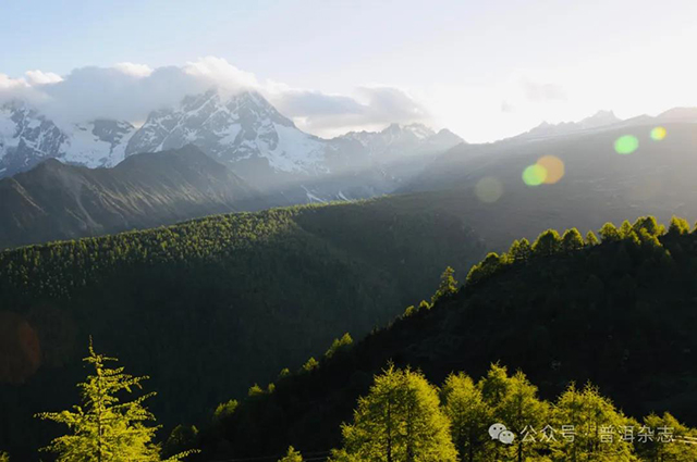 2024年普洱杂志社第十二届茶山行