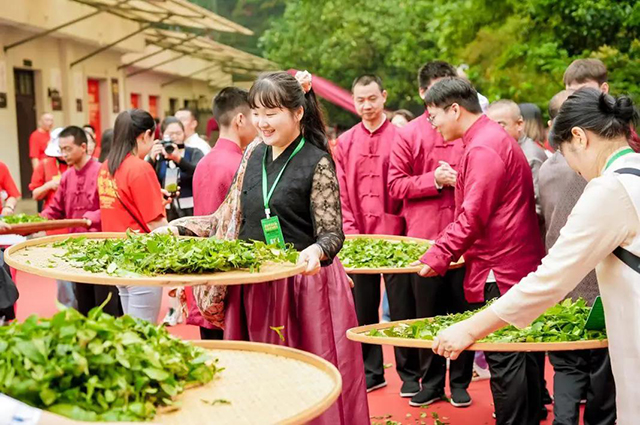 嘉宾们体验大红袍制茶工序