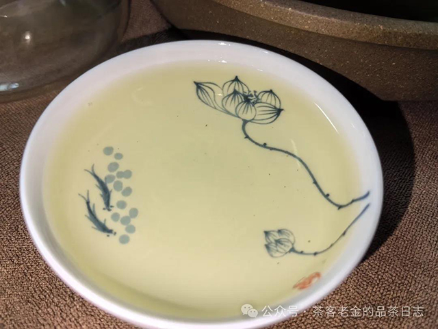 陈永珍2024年白茶园高杆头春普洱茶品质特点