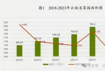 2023年云南茶园面积803万亩，毛茶产量55.7万吨