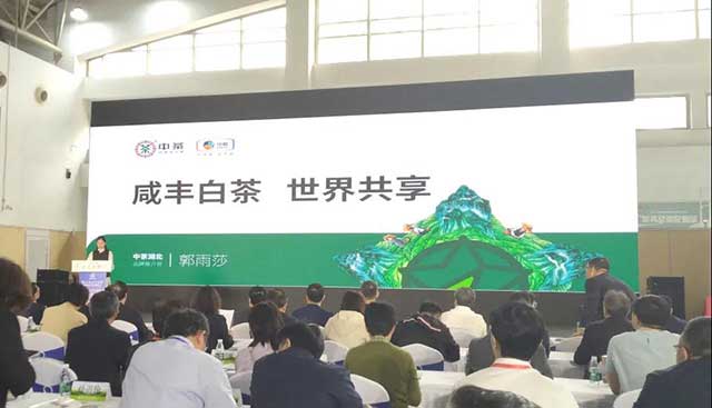 在北京茶博会开幕式上咸丰白茶举行了品牌推介会