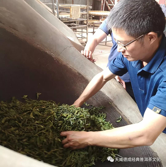 天威德成经典普洱茶文化