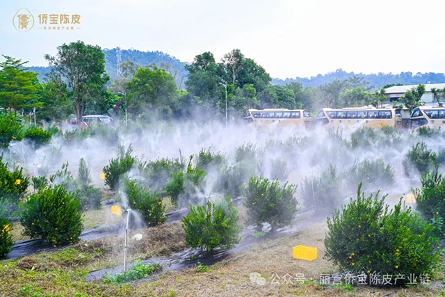 侨宝与你相约武汉茶博会