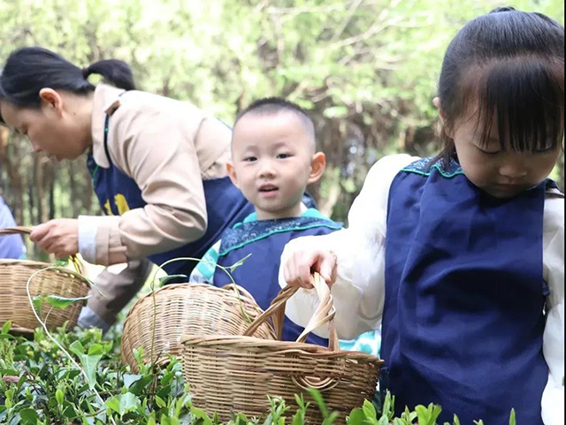 来青第七届茶文化旅游节将在莒县浮来青旅游度假区举行