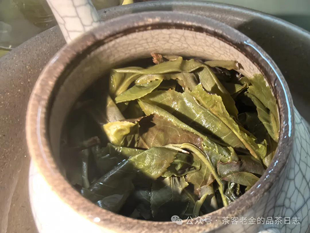 飛鹭古茶2024年倚邦大黑山普洱茶