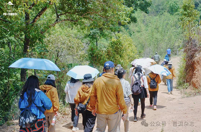 普洱杂志第十二届茶山行第一站