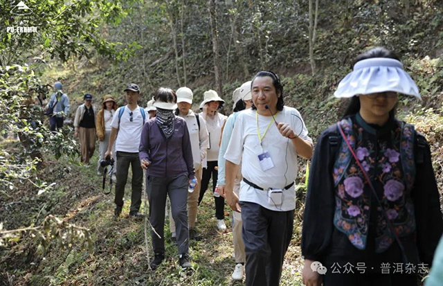 普洱杂志第十二届茶山行第二站