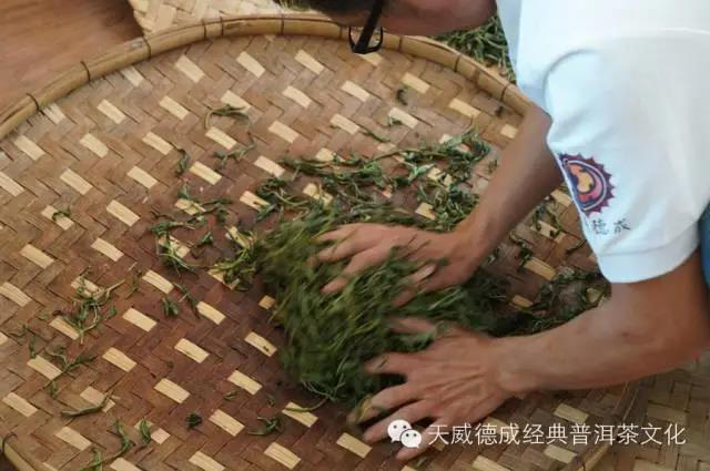 石昆牧经典茶文化