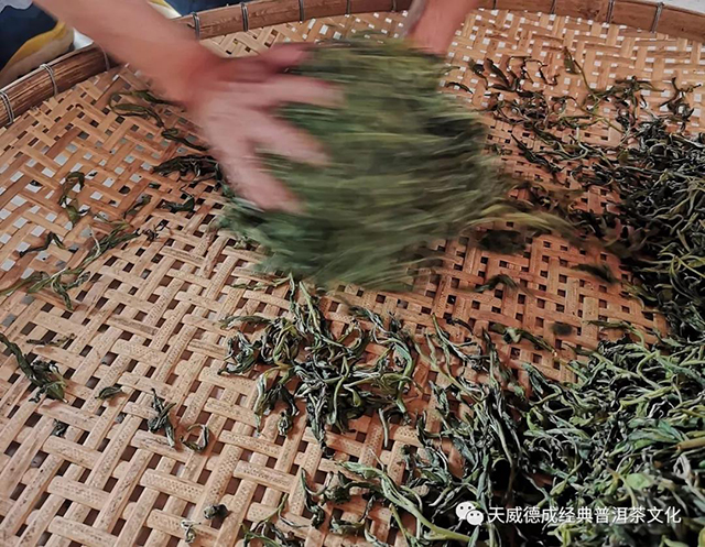 石昆牧经典茶文化