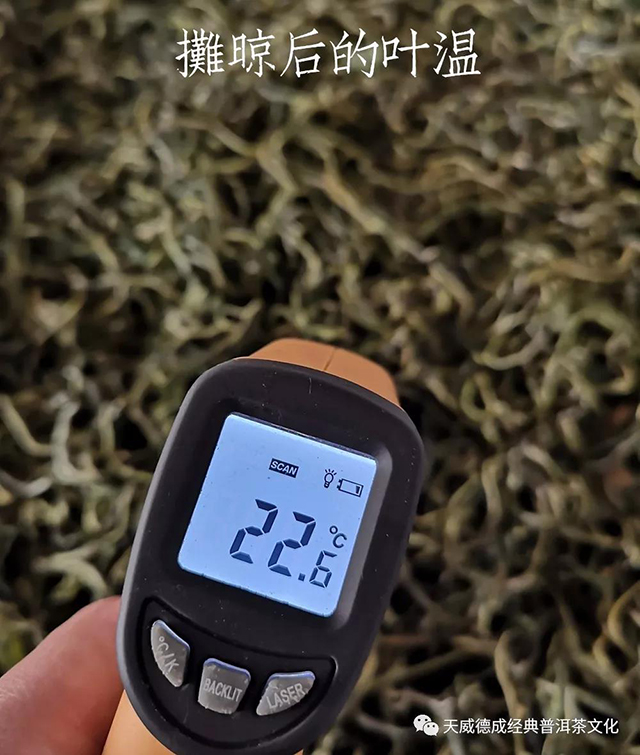 石昆牧经典茶文化