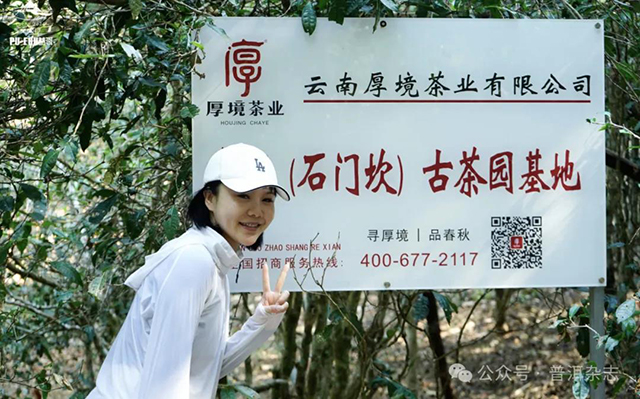 普洱杂志第十二届茶山行